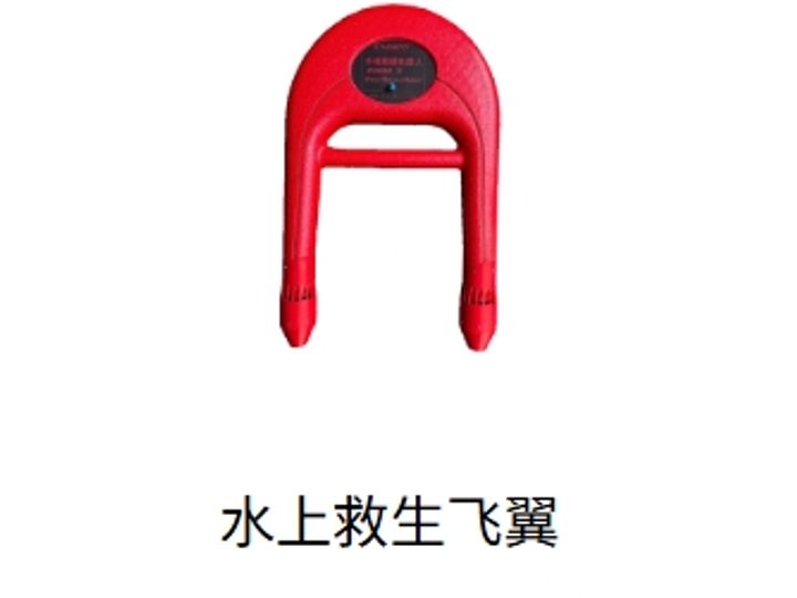 Water Rescue Flying Wing product image 1